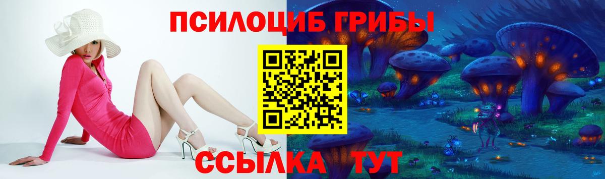 Галлюциногенные грибы GOLDEN TEACHER  Вход с VPN  Клин  купить   Галлюциногенные грибы Cubensis 
